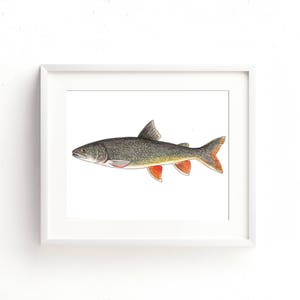 LakeTrout Watercolor Fine Art Print