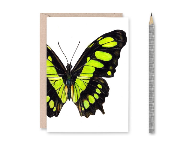 Assorted Butterfly Blank Greeting Cards - Etsy
