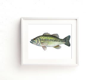 Largemouth Bass Watercolor Fine Art Print