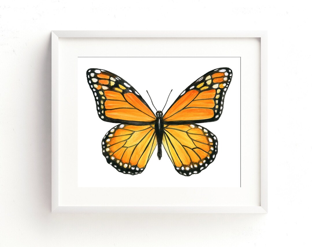 Monarch Butterfly II Watercolor Fine Art Print - Etsy