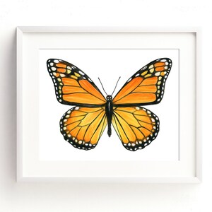 Monarch Butterfly II Watercolor Fine Art Print