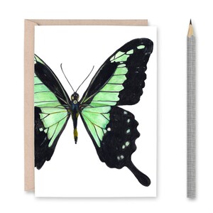 Butterfly Blank Greeting Cards (set of 4) - Etsy