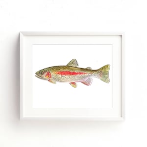Luipaard Rainbow Trout aquarel Fine Art Print