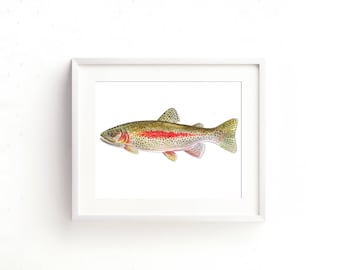 Leopard Rainbow Trout Watercolor Fine Art Print