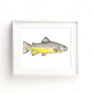 Brown Trout Watercolor Fine Art Print