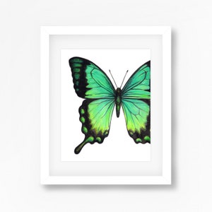 Sea Green Swallowtail Butterfly Watercolor Fine Art Print
