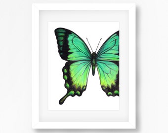 Sea Green Swallowtail Butterfly Watercolor Fine Art Print