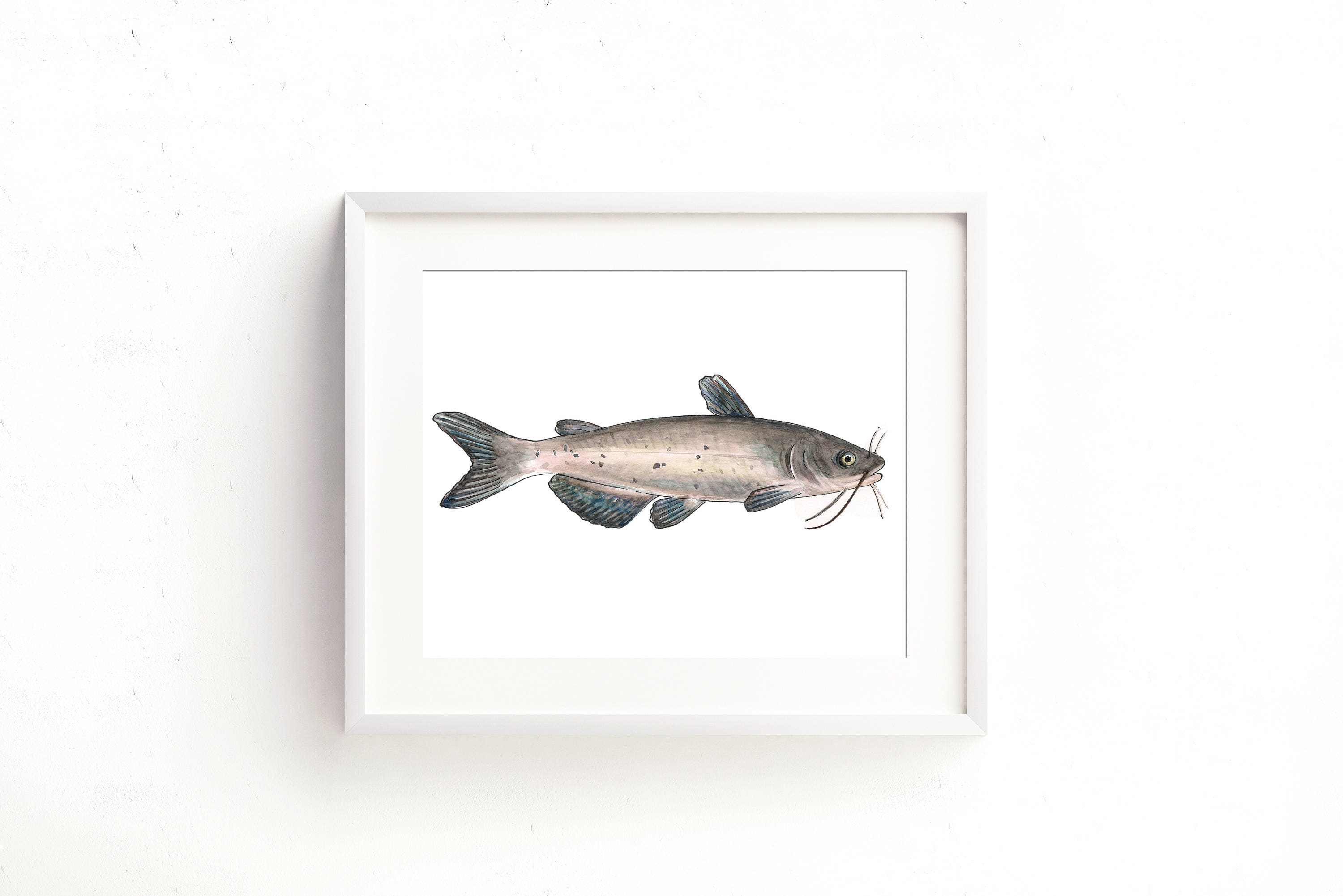 Channel Catfish Watercolor Fine Art Print -  Canada