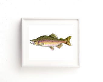 Pink Salmon Watercolor Fine Art Print