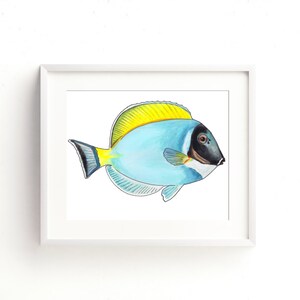 Powder Blue Tang Watercolor Fine Art Print