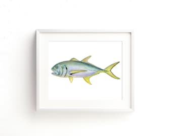 Jack Crevalle Watercolor Fine Art Print