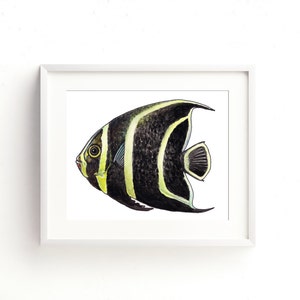 Skalaren Aquarell Fine-Art-Print