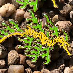 Sea Dragon Enamel Pin