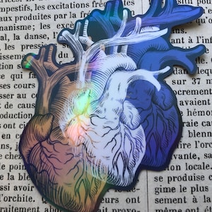 May include: A sticker featuring a stylized anatomical heart with a rainbow holographic effect. The heart is depicted in shades of blue, white, and brown, with intricate vein details. The sticker is likely for decorative purposes.