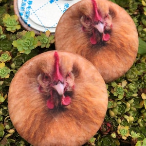 Pode incluir: Dois botões redondos com uma imagem de close-up do rosto de uma galinha marrom. A galinha tem uma crista e barbelas vermelhas. Os botões estão em um leito de suculentas verdes.