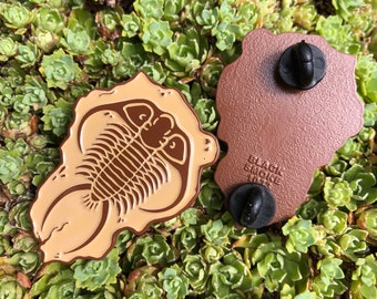 Trilobit Emaille Anstecknadel, Fossil, Naturhistorisches Museum, Paläontologie Sammler