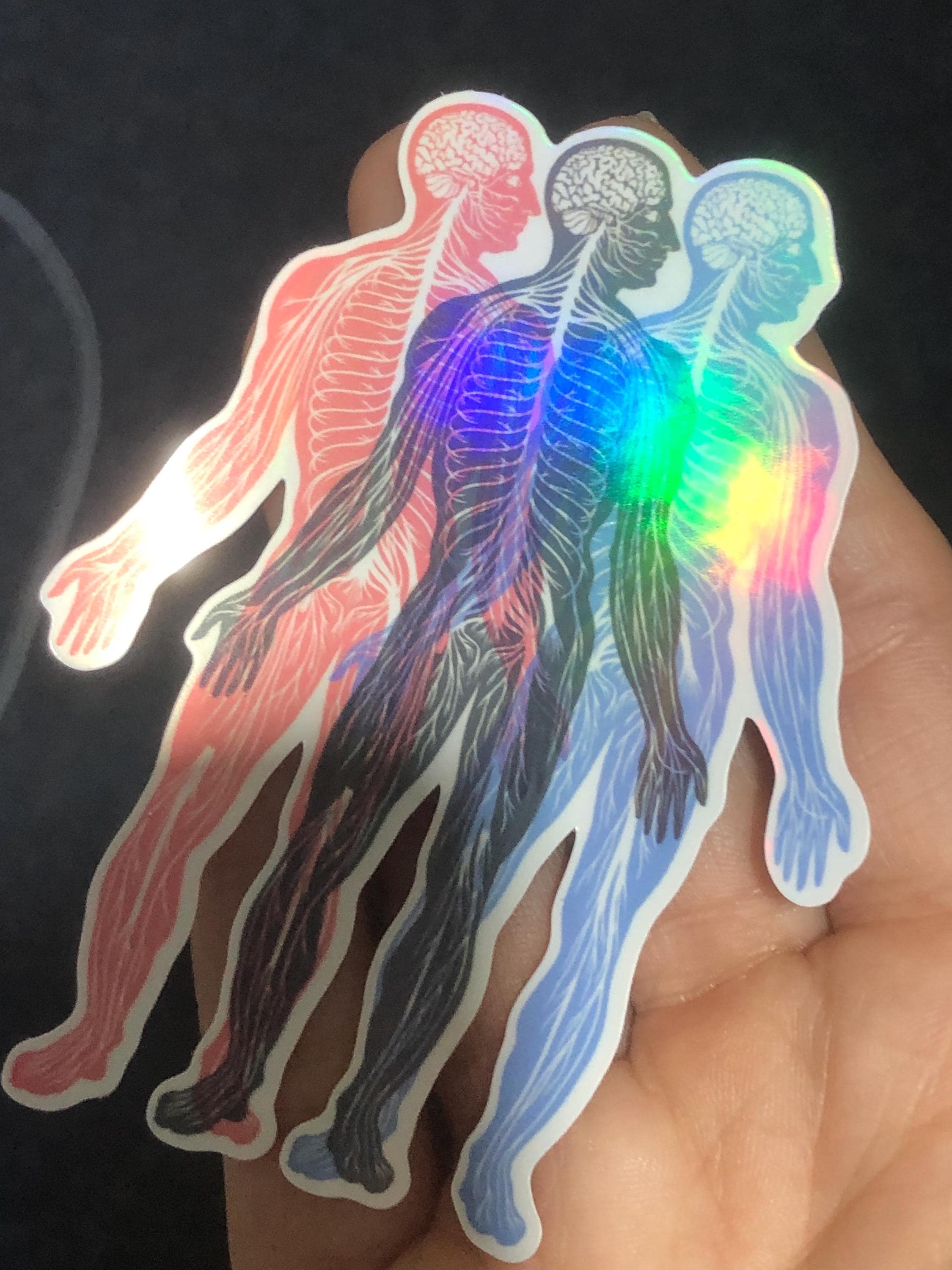 Nervous System Sticker, Red / Blue Circulatory Variant - Etsy