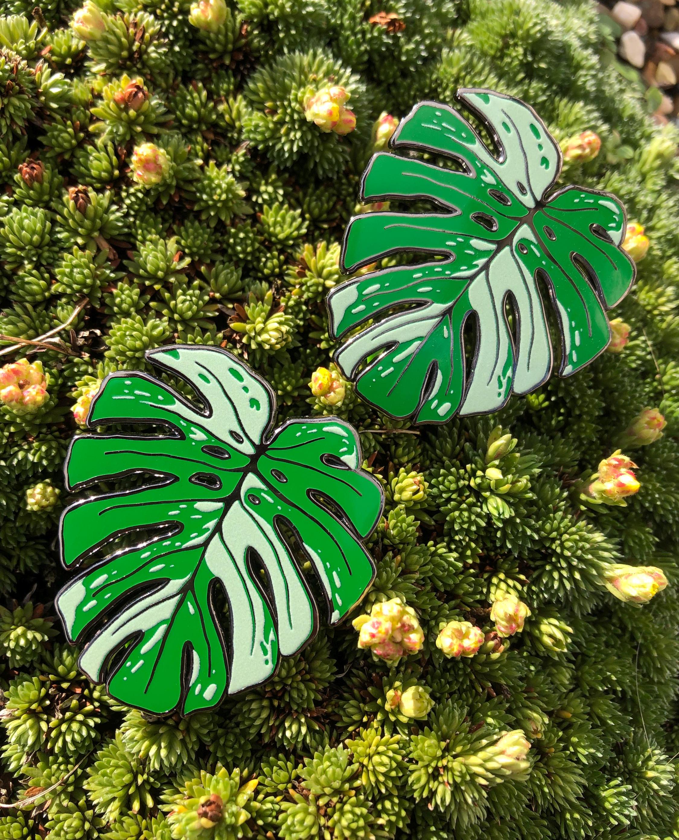 Variegated Monstera Leaf Enamel Pin, Houseplant Lover Gift, Botany, Big Leaves