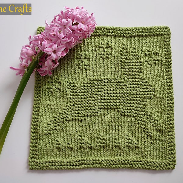 Dishcloth Pattern Etsy