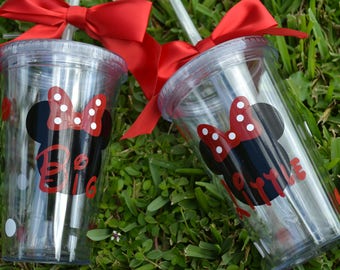 disney big little reveal
