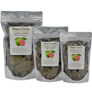 May include: Three clear, resealable bags of dried guava leaves. Each bag features a label with the text "Plant Guru GUAVA LEAVES" and an illustration of a guava fruit. The bags are filled with dried, green-brown leaves.