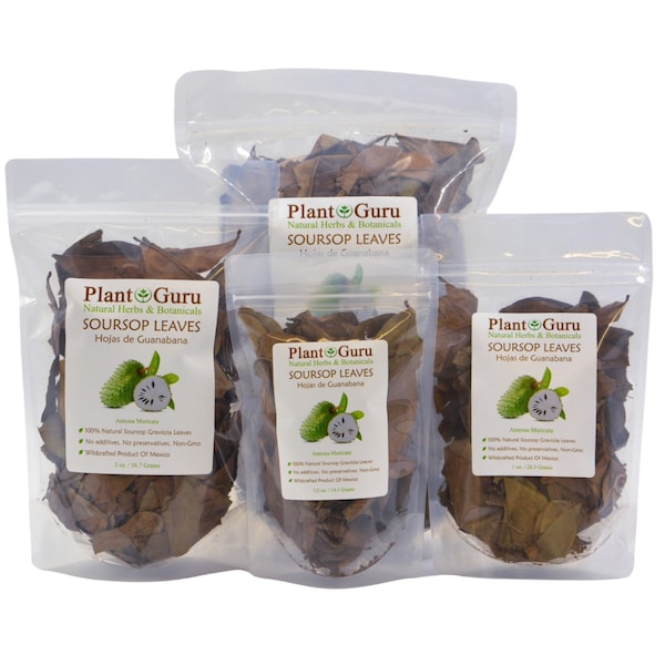 Dried Soursop Leaves - Natural Graviola Soursop Tea Leaves, Hojas de Guanabana