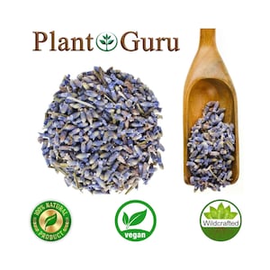 May include: Dried lavender buds in a wooden scoop and loose on a white background. The lavender is purple and blue. The text "Plant Guru" is at the top of the image. There are three labels: "100% Natural Product", "Vegan", and "Wildcrafted".