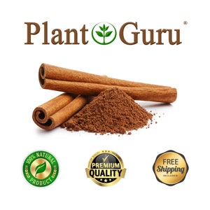 Buy wholesale Organic cinnamon