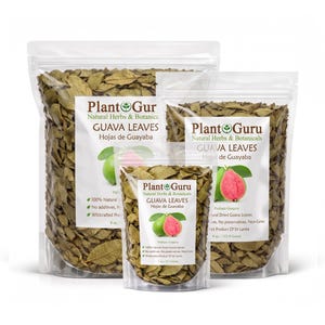 May include: Three clear, resealable plastic pouches filled with dried, brownish-green guava leaves. Each pouch features a white label with the text Plant Guru, Natural Herbs & Botanicals, and Guava Leaves, along with an illustration of a guava fruit.