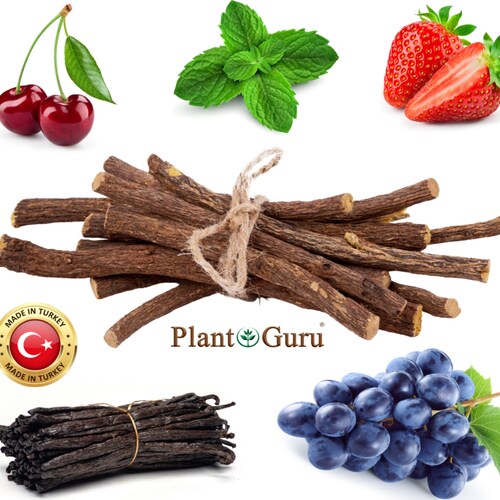 Licorice Root Chew Sticks 100 Pure Organic Etsy