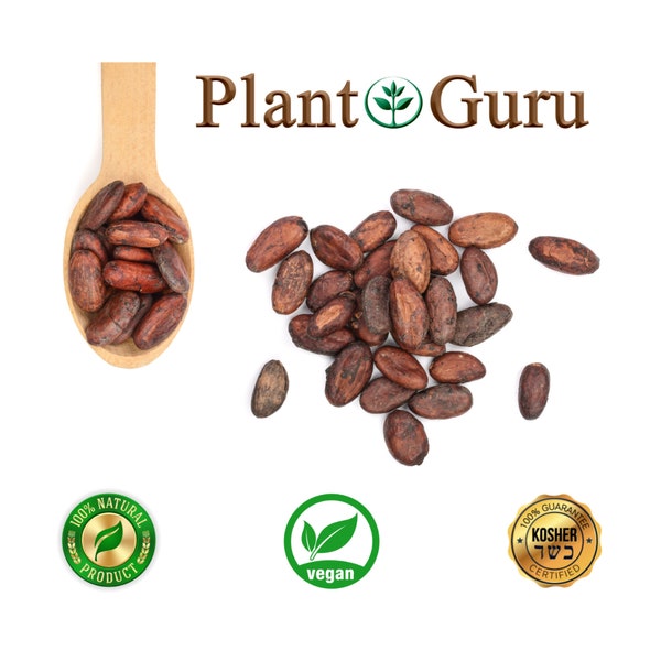 Raw Cacao / Cocoa Beans Chocolate Organic Arriba Nacional Bean 1 oz to 25 lbs. Bulk