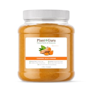 Turmeric Root Powder 2.5 lbs. Bulk Jar Curcuma Longa Tumeric Spice Herb Bulk