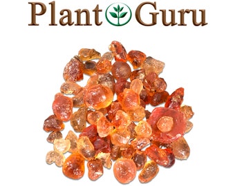 Gum Arabic Resin Incense 100% Pure Natural Acacia Aromatic Gum Rock Wicca Bulk Wholesale Choose Size