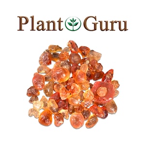 Gum Arabic Powder | Thicker for Natural Dyes 50gr