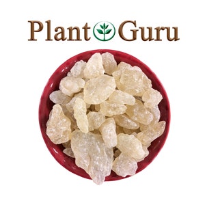 Copal Resin White Incense 100% Pure Natural Organic Granular Aromatic Gum Rock Wicca Bulk Wholesale CHOOSE SIZE