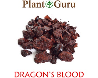 Dragons Blood Resin Granular Incense 100% Pure Natural Daemonorops Draco Aromatic Gum Rock Wicca Bulk Wholesale