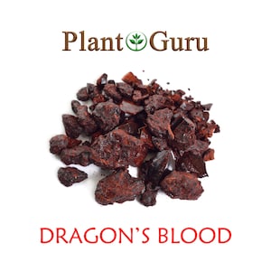 Dragons Blood Resin Granular Incense 100% Pure Natural Daemonorops Draco Aromatic Gum Rock Wicca Bulk Wholesale