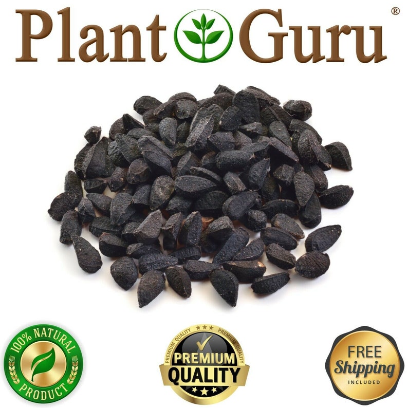 May include: A pile of black seeds, possibly Nigella sativa, against a white background. The Plant Guru logo is at the top. The image includes seals that say "100% Natural Product", "Premium Quality", and "Free Shipping Included".