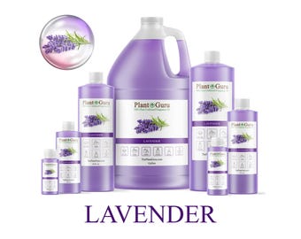 Könnte beinhalten: Eine Sammlung von lila Flaschen und Behältern verschiedener Größen, beschriftet mit "Plant Guru Lavender". Die Flaschen zeigen eine Lavendelzweig-Grafik. Das Wort "LAVENDER" ist unten im Bild in großen, lila Buchstaben gedruckt.