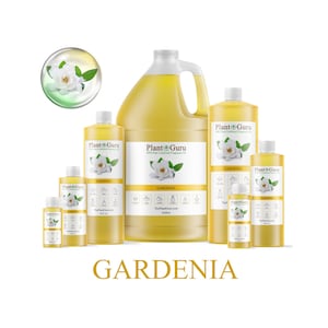 May include: A collection of yellow liquid bottles of varying sizes, labeled "Plant Guru" and "Gardenia." Each bottle features a white gardenia flower graphic. The word "Gardenia" is displayed in gold text below the bottles.
