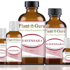 Ravensara Essential Oil 100% Pure Natural Therapeutic Grade, Agathopgyllum Aromatic, Bulk Wholesale For Skin, Soap, Candle and Diffuser
