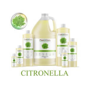 May include: A collection of citronella fragrance oil bottles of various sizes, including a gallon jug, with a green and white label. The bottles are arranged on a white background. The word "CITRONELLA" is displayed in green text.