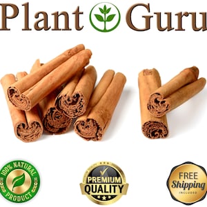 Op de afbeelding: Verschillende kaneelstokjes worden getoond, die hun gerolde vorm en warme bruine kleur laten zien. De afbeelding bevat de tekst "Plant Guru" en zegels met de tekst "100% Natural Product", "Premium Quality" en "Free Shipping Included".