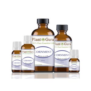 May include: A collection of amber glass bottles of varying sizes, labeled "Plant Guru 100% Pure Essential Oil CORNMINT". The bottles have black caps and white labels with blue accents. The largest bottle is 4 fl oz.