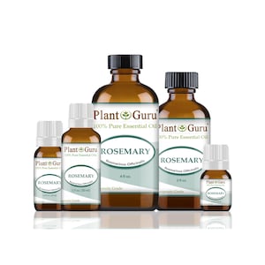 May include: A collection of amber glass bottles of rosemary essential oil. The bottles vary in size, with black caps and white labels displaying the brand name "Plant Guru" and "Rosemary" with the scientific name Rosmarinus Officinalis. The bottles are labeled with the volume in fluid ounces.