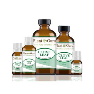 May include: Several amber glass bottles of clove leaf essential oil are arranged on a white surface. The bottles vary in size and have black caps and white labels with green accents. The labels read "Plant Guru" and "Clove Leaf".