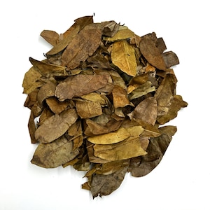 May include: A dense pile of dried, brittle leaves in various shades of brown, tan, and muted yellow. The leaves are oval-shaped with visible veins and curled, irregular edges, creating a textured, layered appearance against a plain white background.