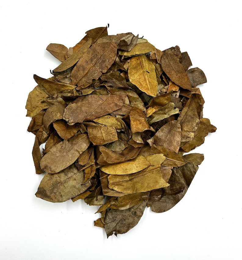 May include: A dense pile of dried, brittle leaves in various shades of brown, tan, and muted yellow. The leaves are oval-shaped with visible veins and curled, irregular edges, creating a textured, layered appearance against a plain white background.