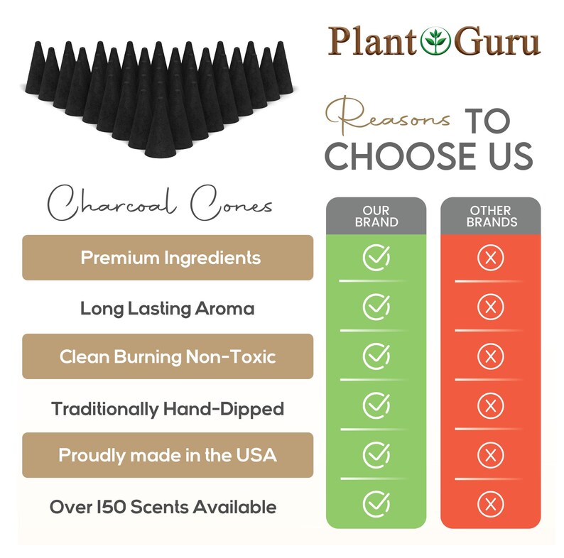 Puede incluir: Imagen de conos de carb&oacute;n vegetal negros. El texto incluye "Plant Guru" y "Razones para elegirnos". Las caracter&iacute;sticas incluyen "Ingredientes de primera calidad" y "Combusti&oacute;n limpia no t&oacute;xica".