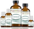 Rosemary Essential Oil Spanish 100% Pure Natural Therapeutic Grade Rosmarinus Officinalis Bulk Wholesale For Skin, Soap, Candle and Diffuser